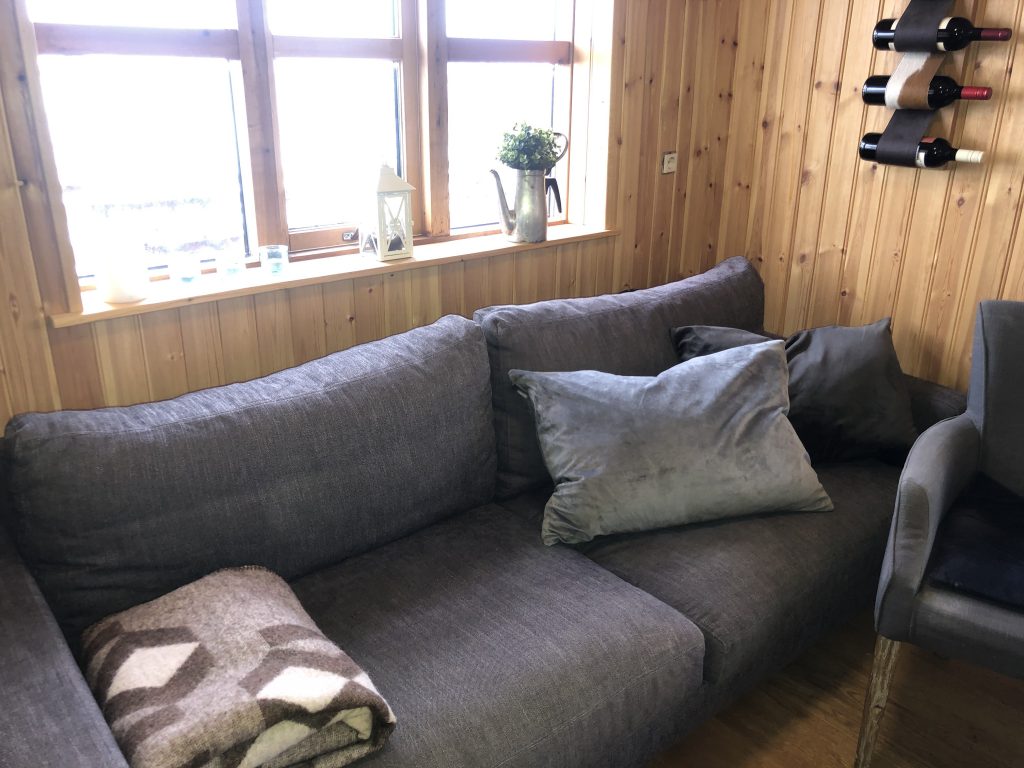 The sofa in the Living room